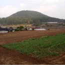 일진자동차공업사 이미지