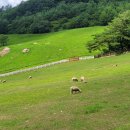 원아목장 이미지