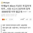 어깨높이 40cm 이상인 개 입마개 의무…사망 사고시 3년이하 징역·3000만원 이하 벌금 이미지