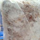 종화농장 이미지