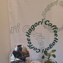 하고리 | [리뷰]내돈내먹 카페 하고리 후기