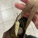 [대외활동] 대학생 광고연합동아리 ‘애드컬리지’ 합격후기