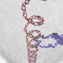 NATURE(네이처)PC 이미지