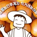 비타민삼춘 - 9518 | 비타민삼춘
