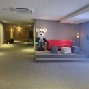 브라운도트호텔 창원중앙점 이미지