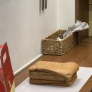 레코어린이집 | 카스테라] 고양 화정시 일산베이커리 / 모카카스테라 _ 루투스&amp;초코 반반 크림 조합 먹고 온 솔직 후기!