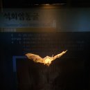 서대문자연사박물관 이미지