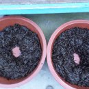 갯내음민박 이미지