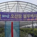 블루오션팜