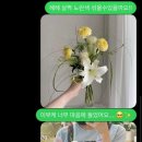 커들리블라썸 이미지