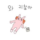 드림디포미사테스타 이미지