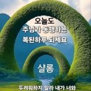 임마누엘 이미지