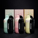 플렉스PC | 부산대 전자담배 오지구 부산대점 인기 일회용 전자담배 "넥사 플렉스" (12종) 솔직 후기