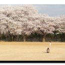 강남영상미디어고등학교 이미지