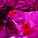 넥스트온 이미지