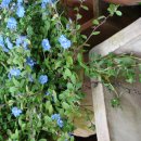 창이대로 이미지