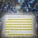 누구나 혼자 서는 순간이 온다 책 | 김나이 책 후기 | 당신의 삶은 명사입니까 동사입니까 추천 리뷰...