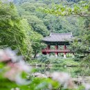 상무평화공원 캠핑장 | 장성 백양사 남창계곡 홍길동테마파크 전남 장성 가볼만한곳