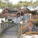 이천쌀밥 원이쌀밥 이미지