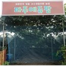 고양중학교 일원 이미지