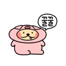 60계치킨경기용인
