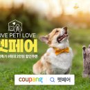 딩동 펫 살롱 이미지