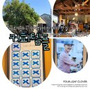 5464 | 제주시 카페 맛집 커피템플 솔찍후기