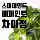맛과향 이미지