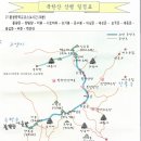 불광2-008 Daum카페