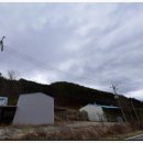 경북청과상회 이미지