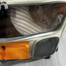 쟈마이커 | 내소중한아가