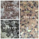 건누룩소금 1+1 ~~ 이미지