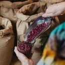 내 마음은 도마도마 Gr 이미지