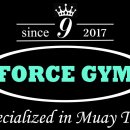 FORCE GYM(포스짐) 이미지