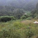 두메산골터줏대감 이미지