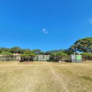 영신군 이이묘 이미지