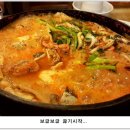 남한강물고기 이미지
