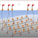 비안도수산 이미지