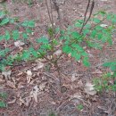 방글농장 이미지