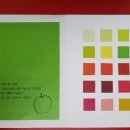 다 보이는 세상 이미지