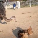 박성준 농장 이미지