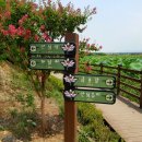 금강역 레일카페 이미지