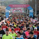 무한도전 Run with 쿠팡플레이 마라톤: 전설의 예능이 여의도를 달군다! 🏃‍♂️🎉