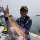 장고도6 이미지