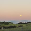 바닷가 돌담집:일상초대 | 바쁘고 재밌었던 3월