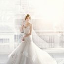 고고 268 이미지