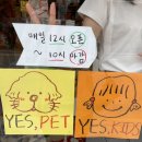 꾀꾀로