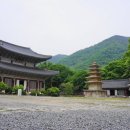 외산 무량사 부도군 이미지