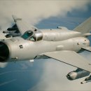 에이스 소프트 이미지