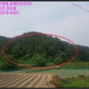 ♠ 영천시 토지(임야)예상낙찰가♠ 경북 영천시경매>경북 영천시 신녕면 부산리 산83 경매 무료권리분석...